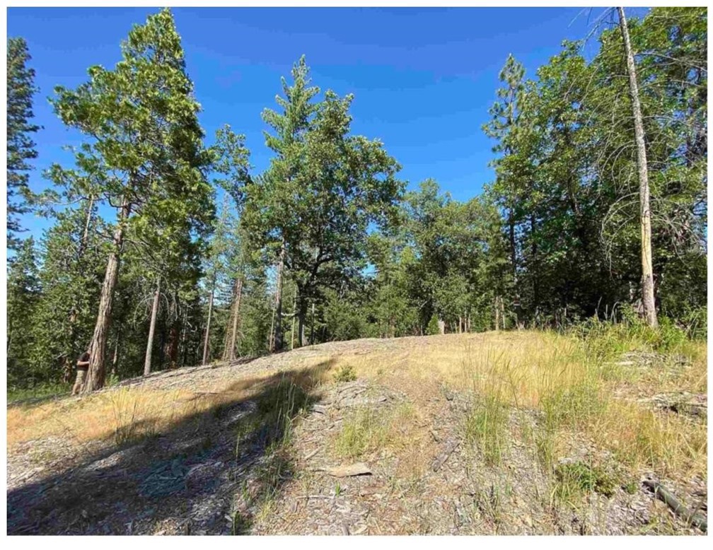0 Pine Mountain Drive Property Photo 9