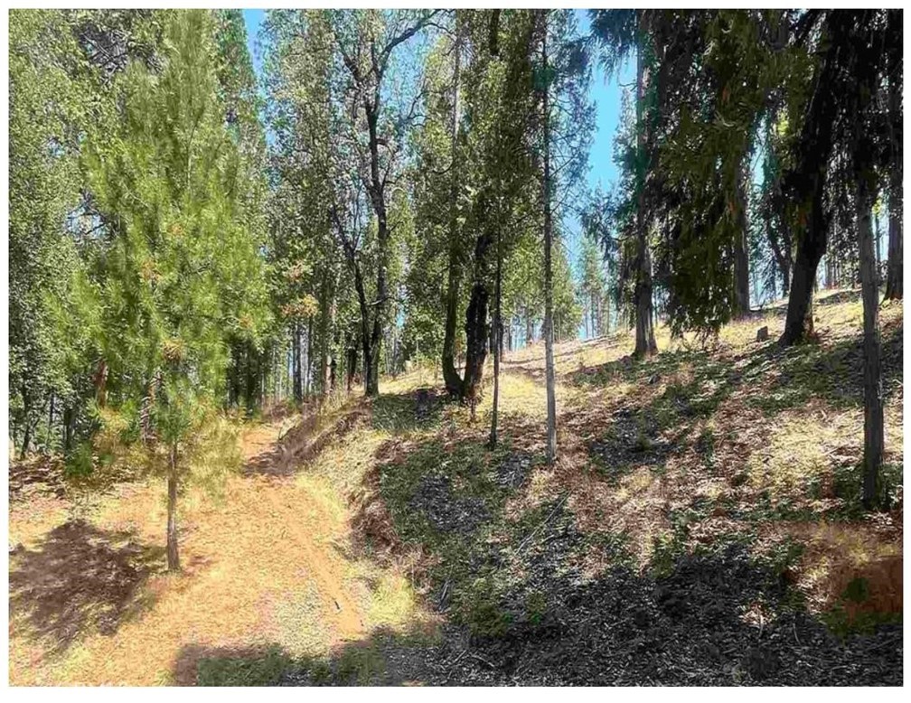 0 Pine Mountain Drive Property Photo 10
