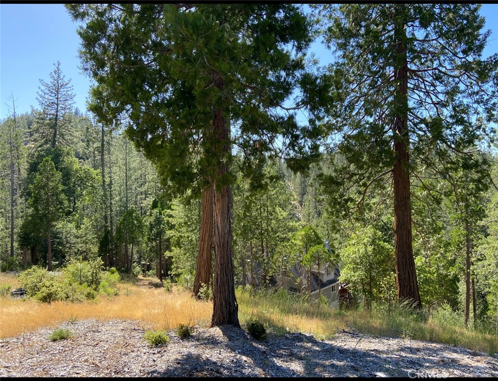 0 Pine Mountain Drive Property Photo 12