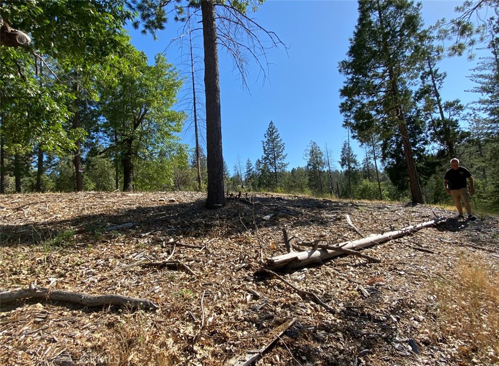 0 Pine Mountain Drive Property Photo 13