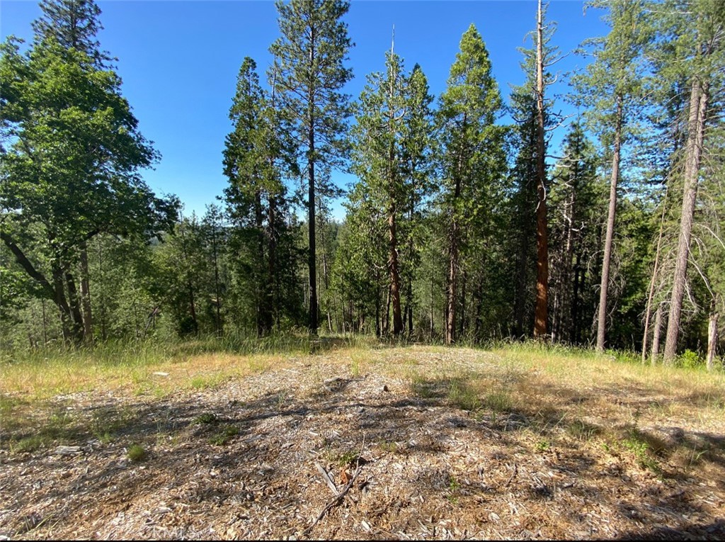 0 Pine Mountain Drive Property Photo 14