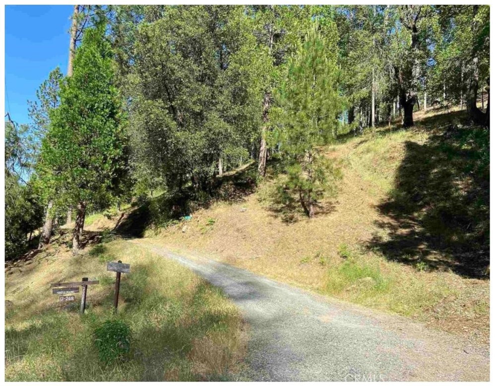 0 Pine Mountain Drive Property Photo 15