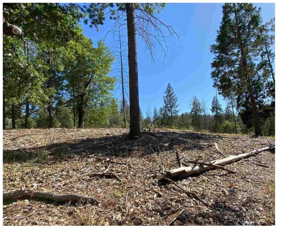 0 Pine Mountain Drive Property Photo 16