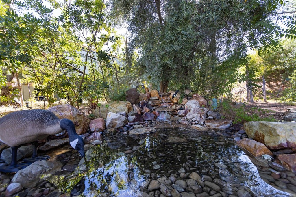 45525 Highway 79 Site 209 Property Photo 21