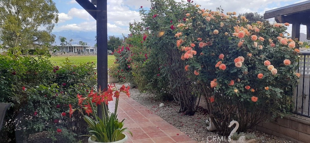 1484 Pepper Tree Drive Property Photo 17