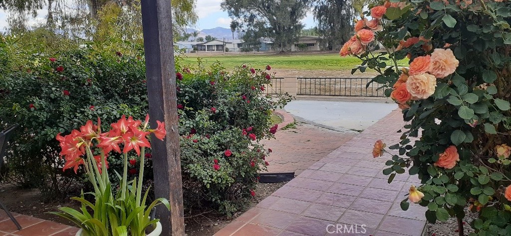 1484 Pepper Tree Drive Property Photo 18