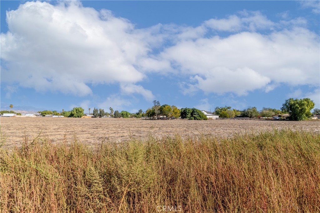 0 Palm Avenue Property Photo 4