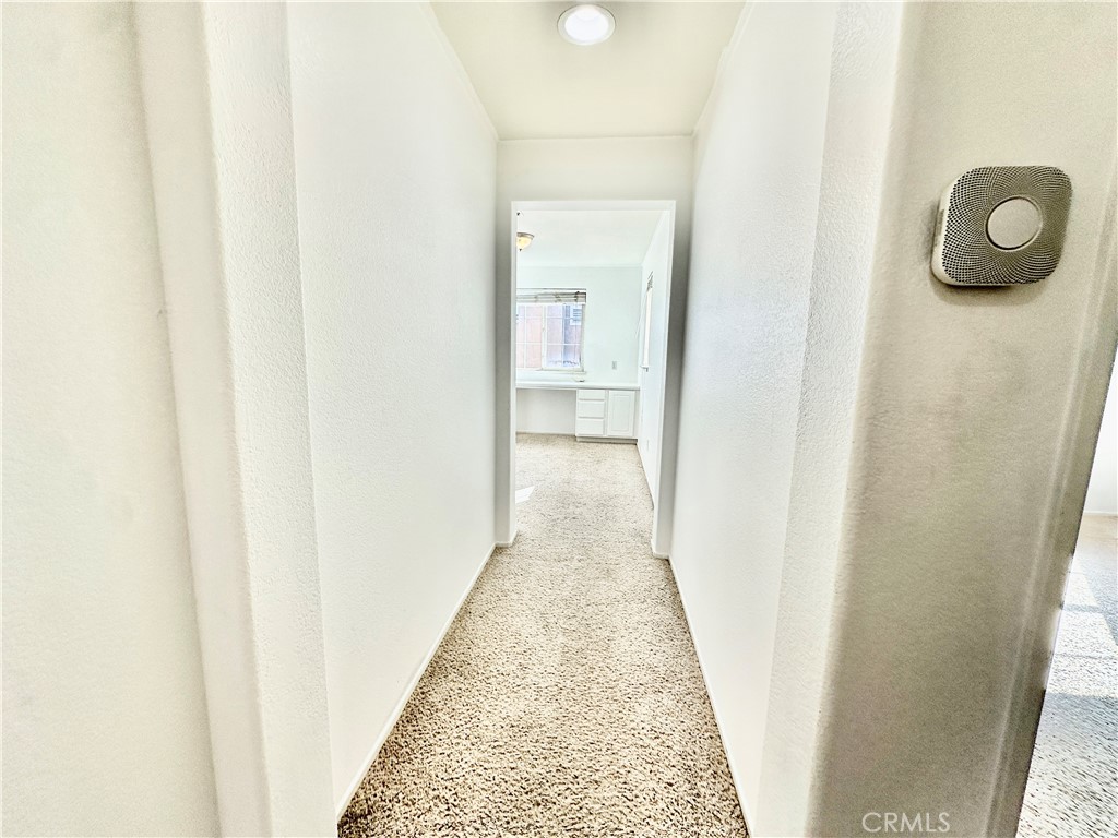 36676 Lynwood Ave Property Photo 49
