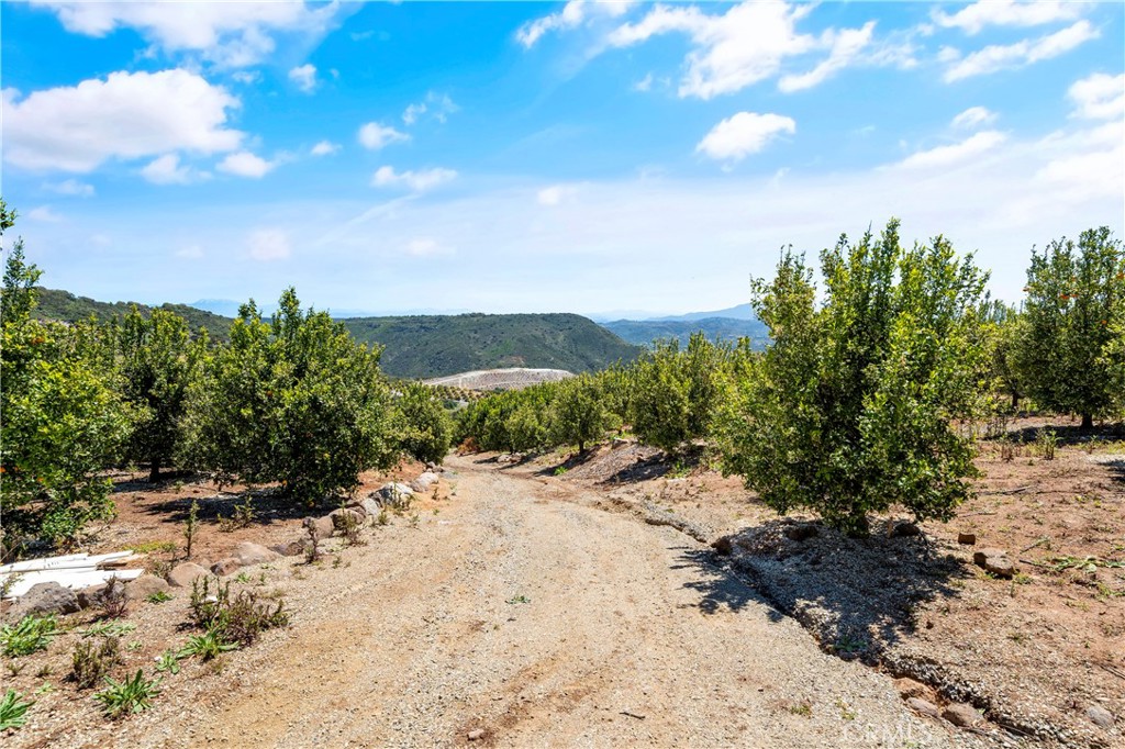 27 Via Escalon Property Photo 12