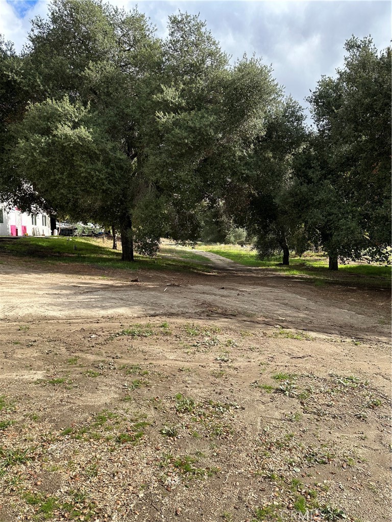 34930 Benton Road Property Photo 10