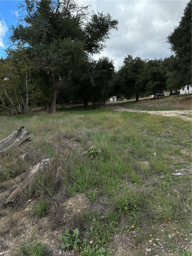 34930 Benton Road Property Photo 11