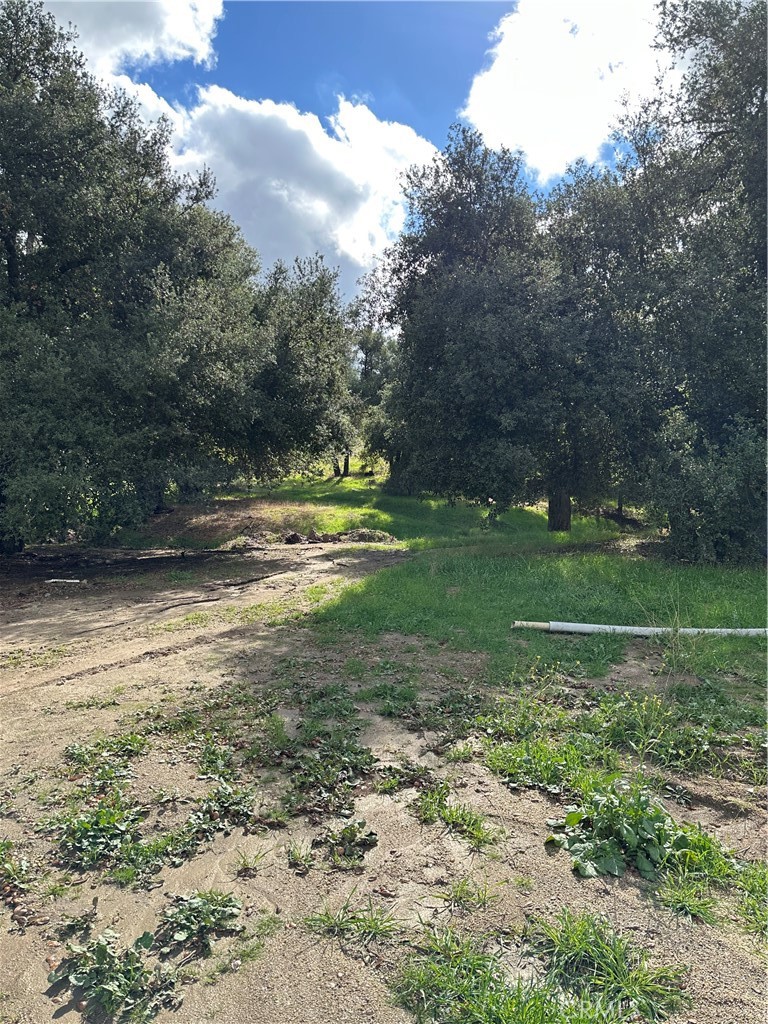 34930 Benton Road Property Photo 37