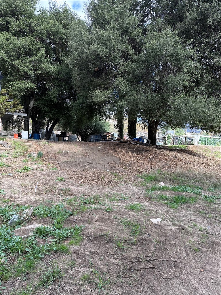 34930 Benton Road Property Photo 38