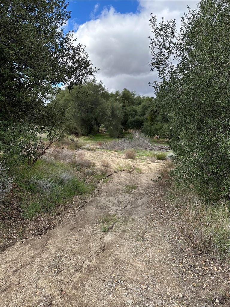 34930 Benton Road Property Photo 41
