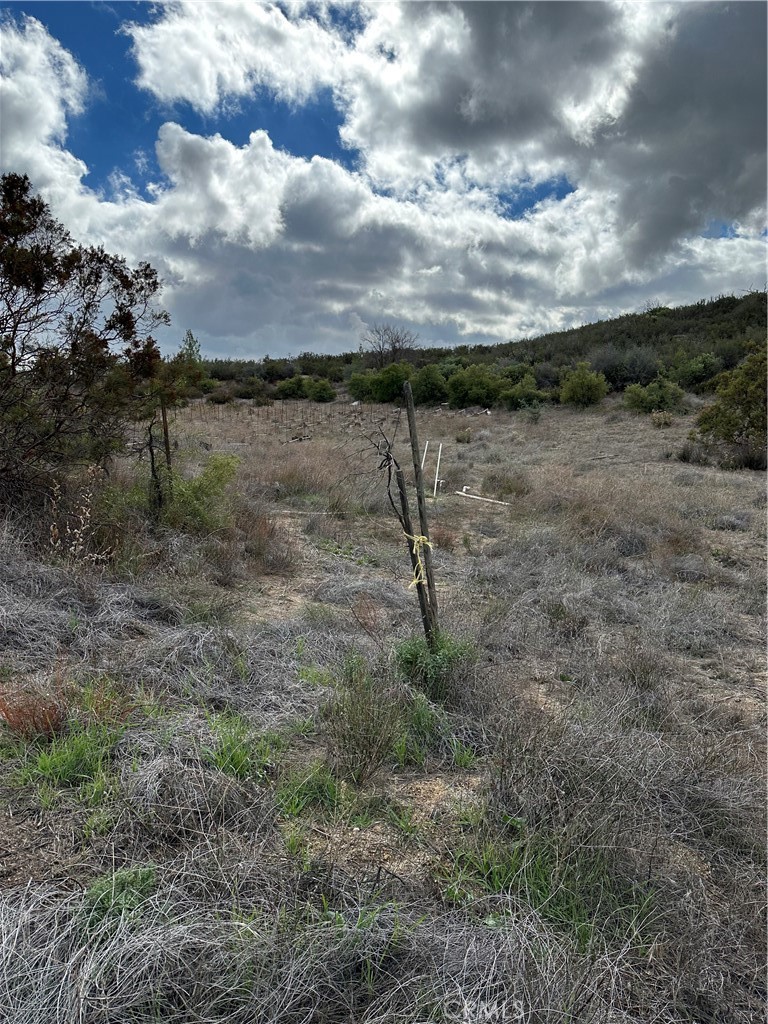 34930 Benton Road Property Photo 42