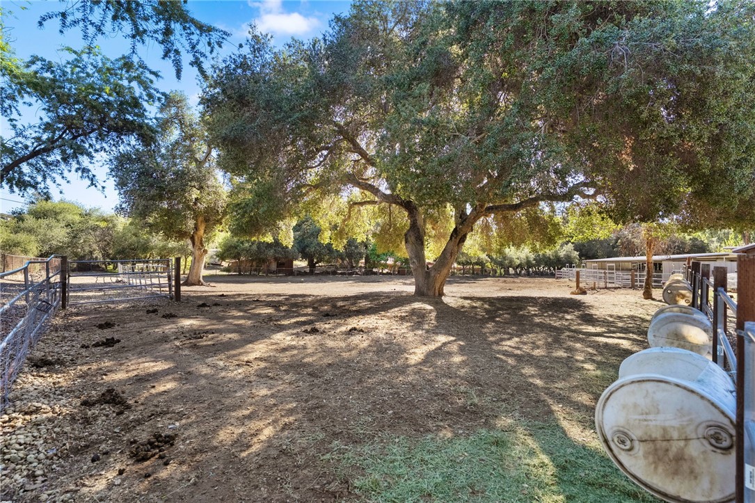17705 Rodeo Road Property Photo 45