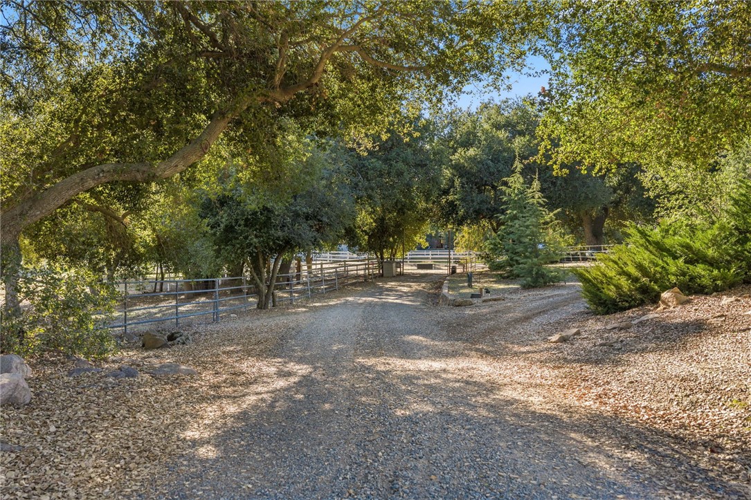 17705 Rodeo Road Property Photo 55