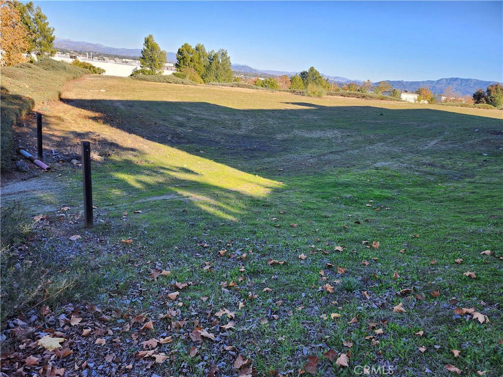42079 Roick Property Photo 4