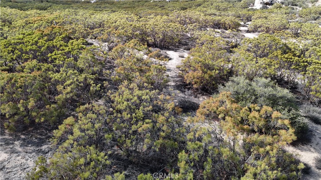 1 Ridgecrest Property Photo 6