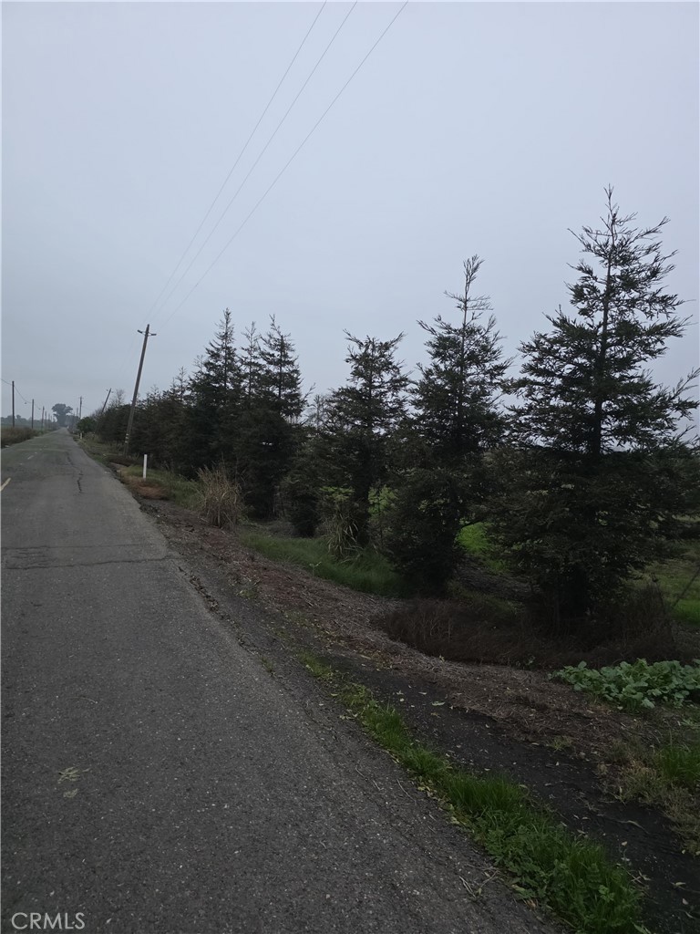 0 W Walker Landing Property Photo 3