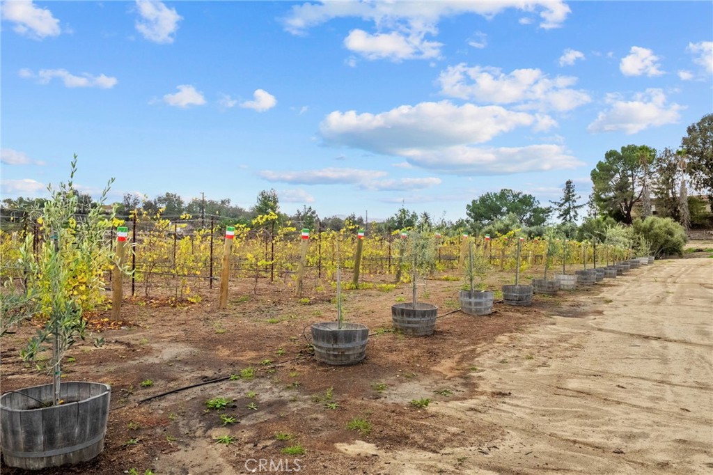 41309 Avenida Biona Property Photo 33