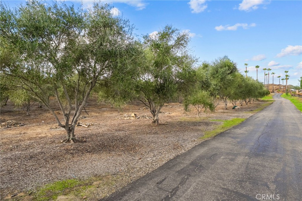 41309 Avenida Biona Property Photo 37