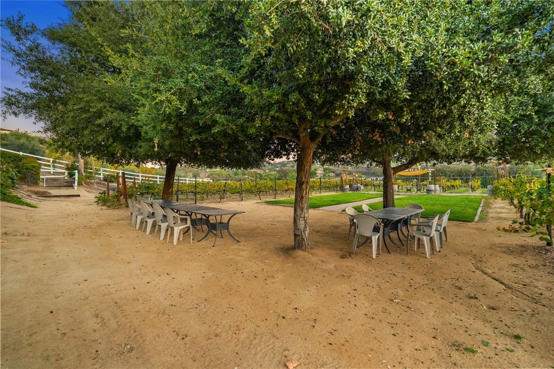 39750 De Portola Property Photo 18
