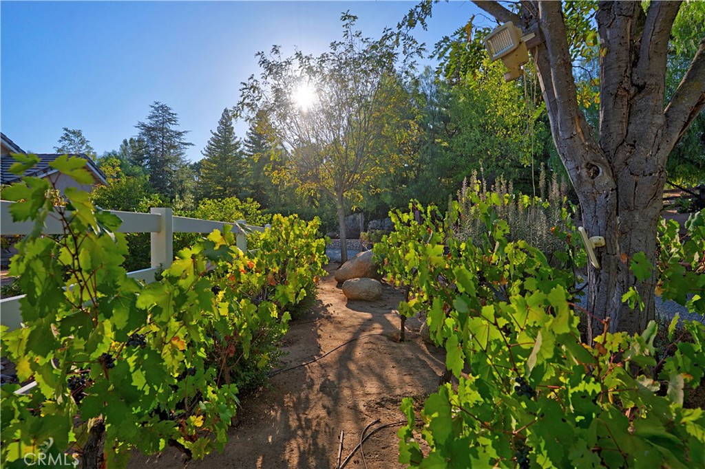 19315 Avenida Cordoba Property Photo 14