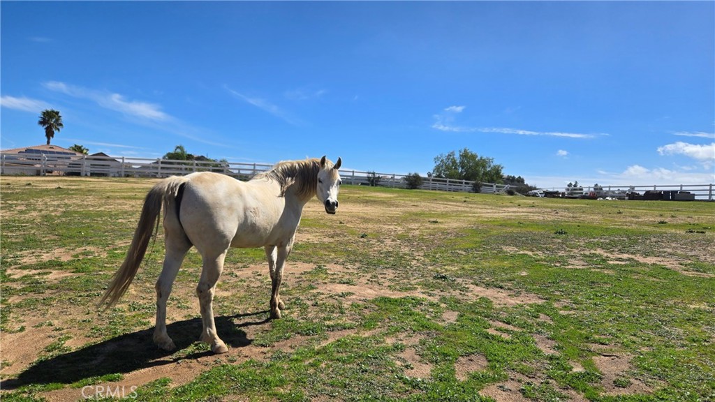 19315 Avenida Cordoba Property Photo 65