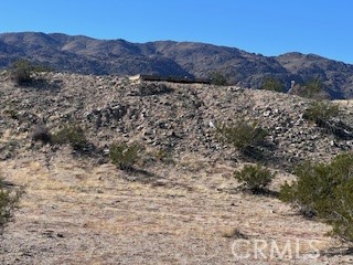 7822 Sahara Ave Property Photo 10