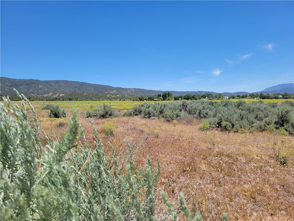48 Bonita Vista Property Photo 4