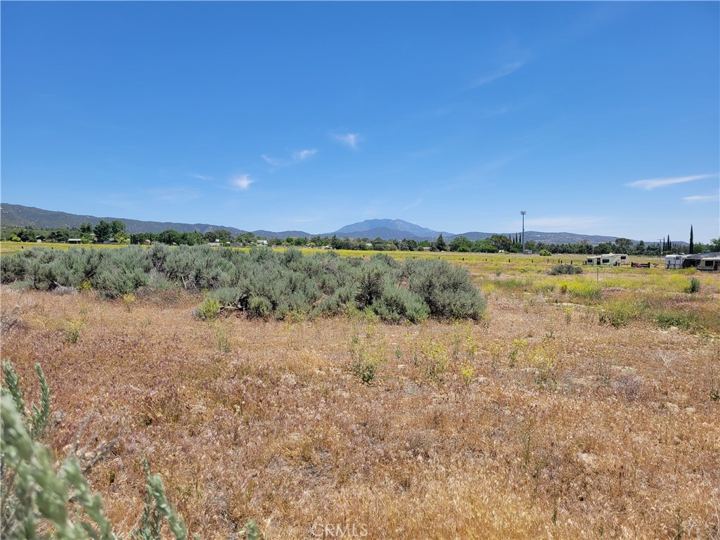 48 Bonita Vista Property Photo 5