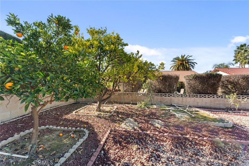 1127 Alleppo Court Property Photo 29