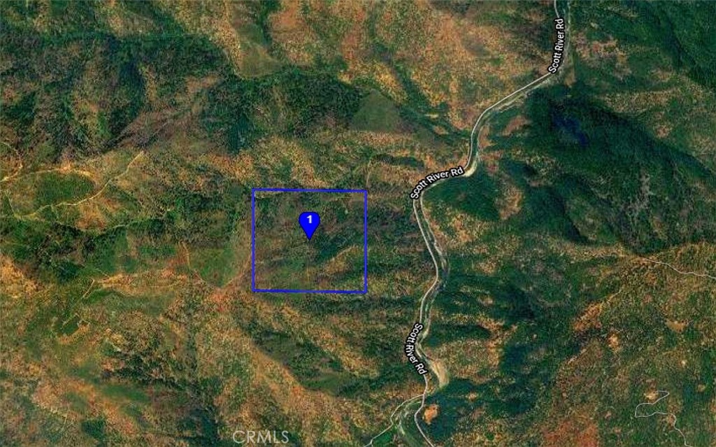 0 Scott River Road Property Photo 15