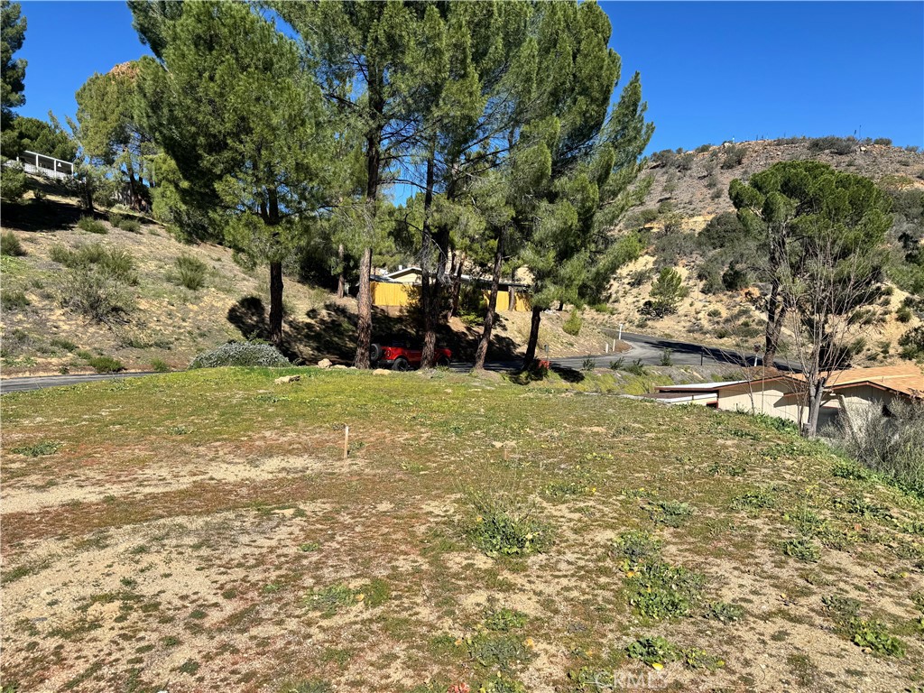 35109 Highway 79, Lot #116 Property Photo 10