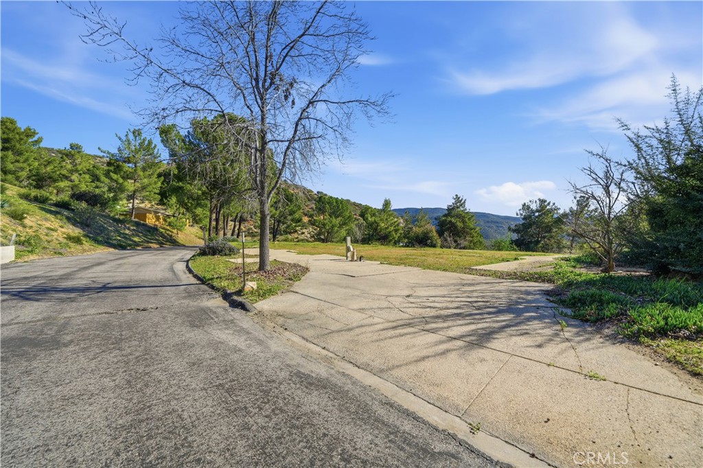 35109 Highway 79, Lot #116 Property Photo 11