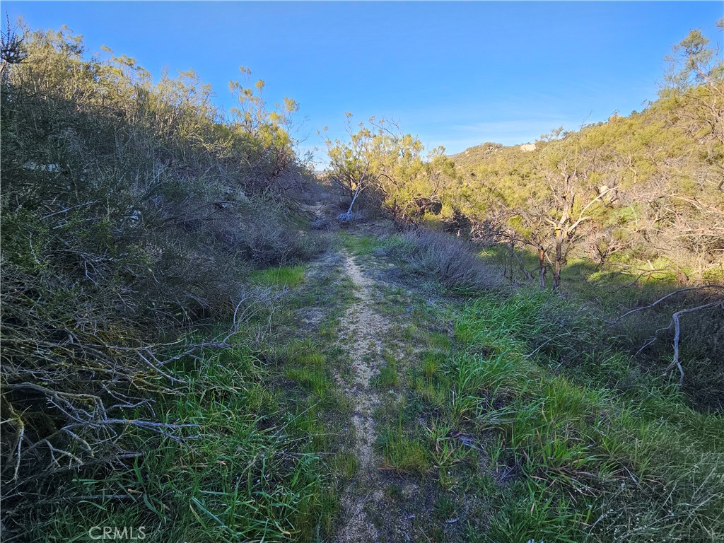 806 Deer Creek Property Photo 1