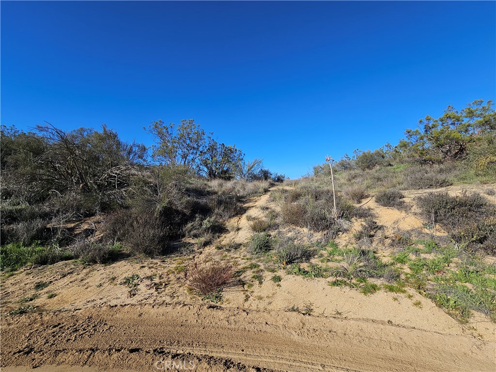 806 Deer Creek Property Photo 4