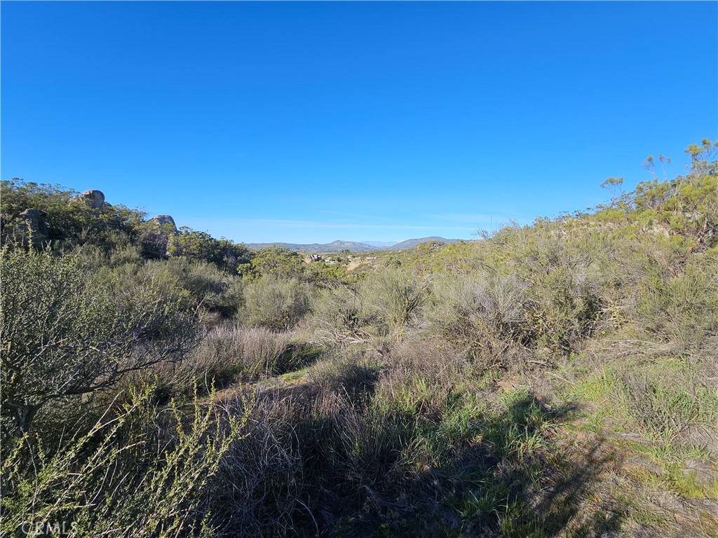 806 Deer Creek Property Photo 5