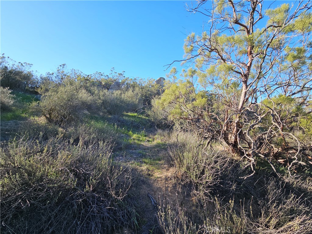 806 Deer Creek Property Photo 7