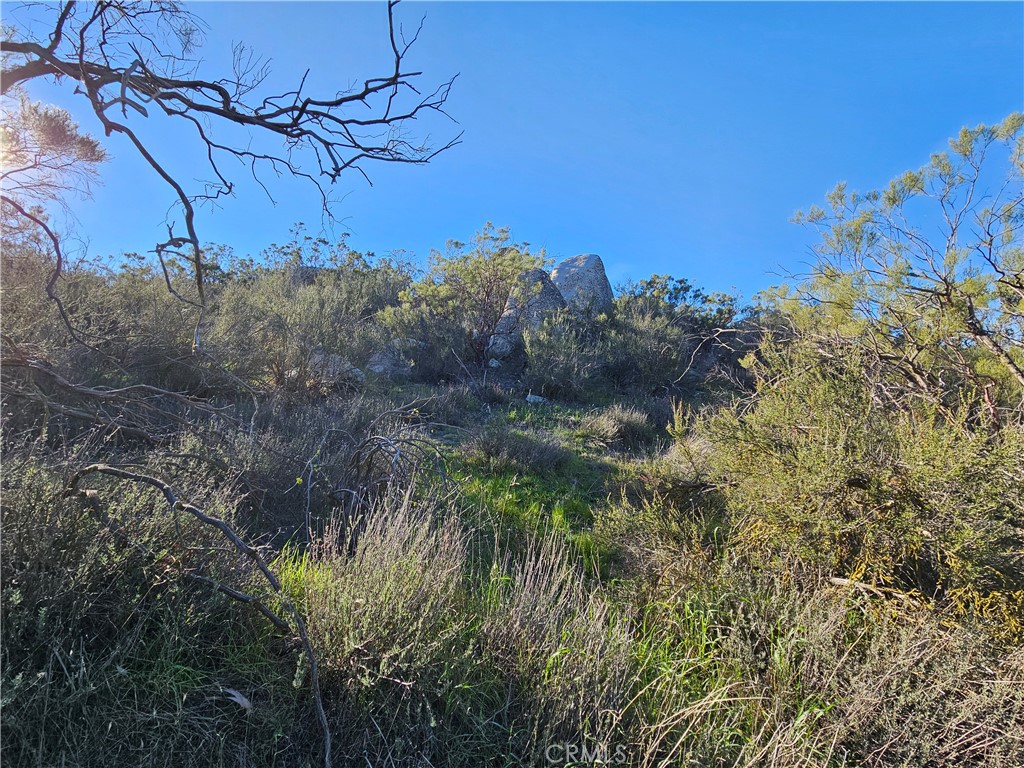 806 Deer Creek Property Photo 8