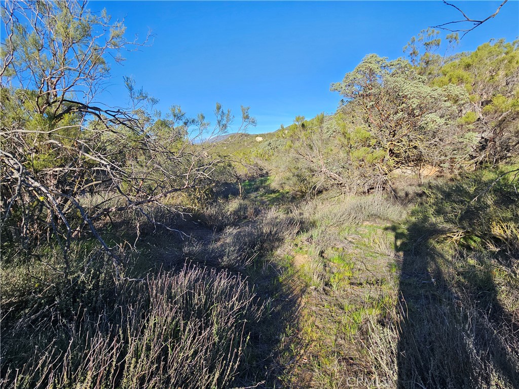 806 Deer Creek Property Photo 9