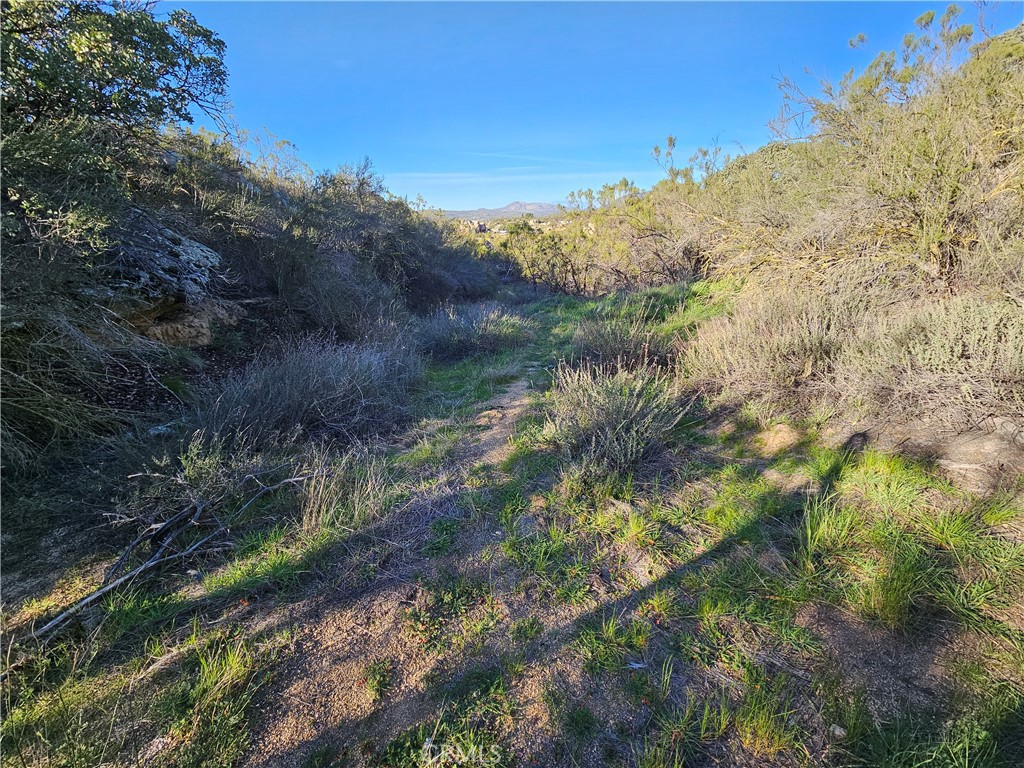 806 Deer Creek Property Photo 10