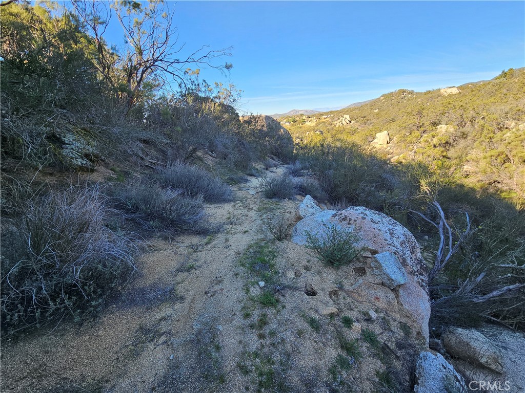 806 Deer Creek Property Photo 11