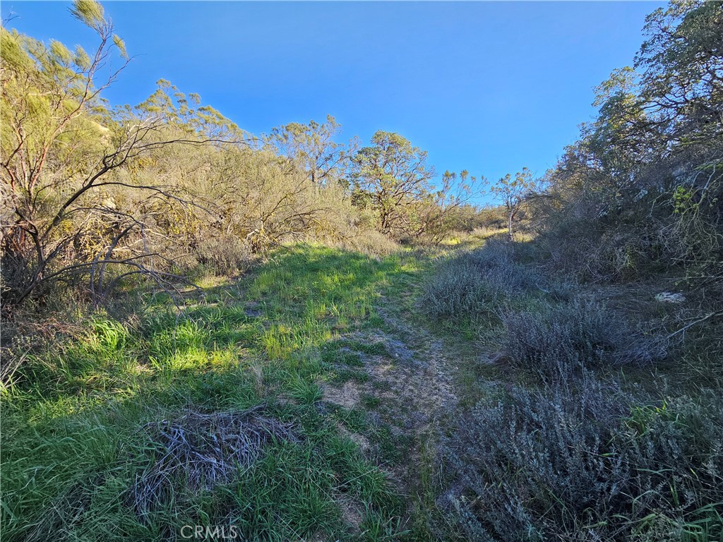 806 Deer Creek Property Photo 13