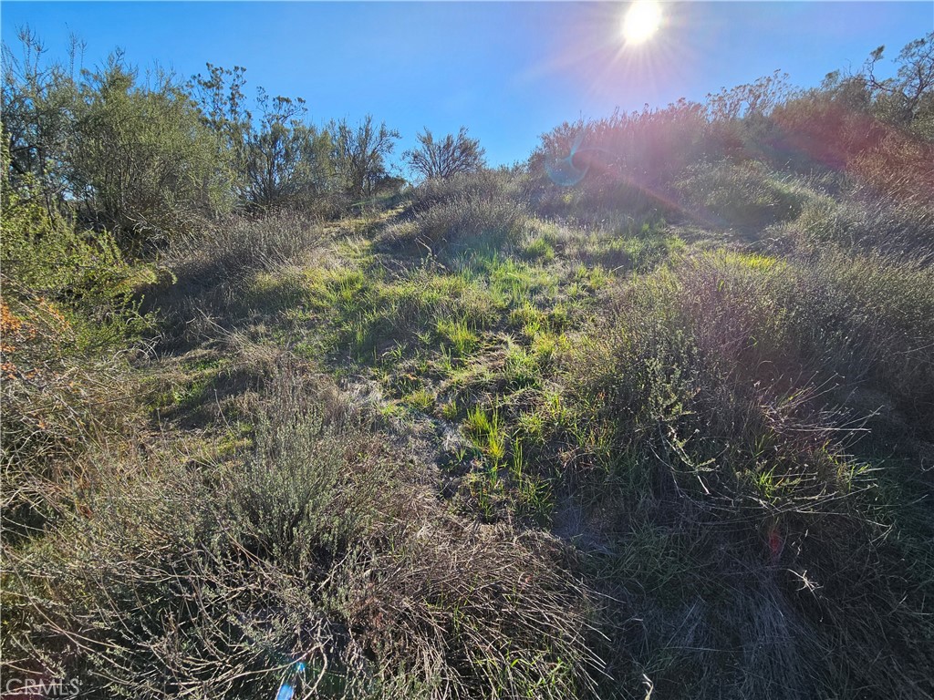 806 Deer Creek Property Photo 14