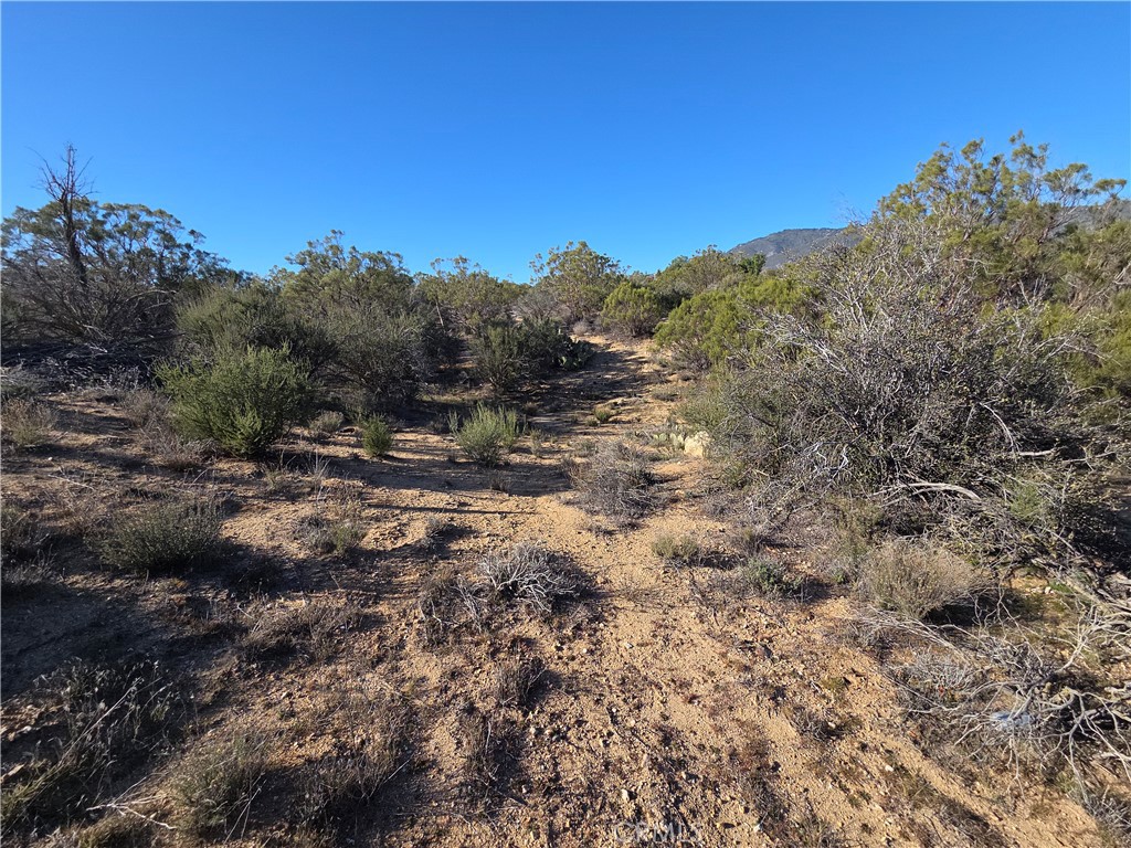 56660 Knollwood Property Photo 3
