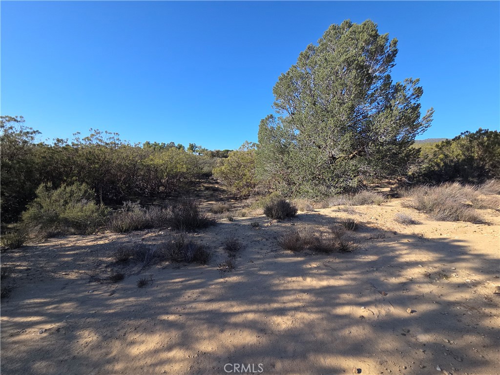 56660 Knollwood Property Photo 8