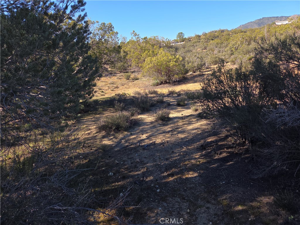 56660 Knollwood Property Photo 9