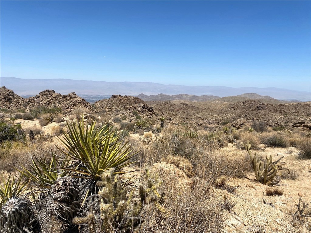 15 Desert Calico Way Property Photo 1